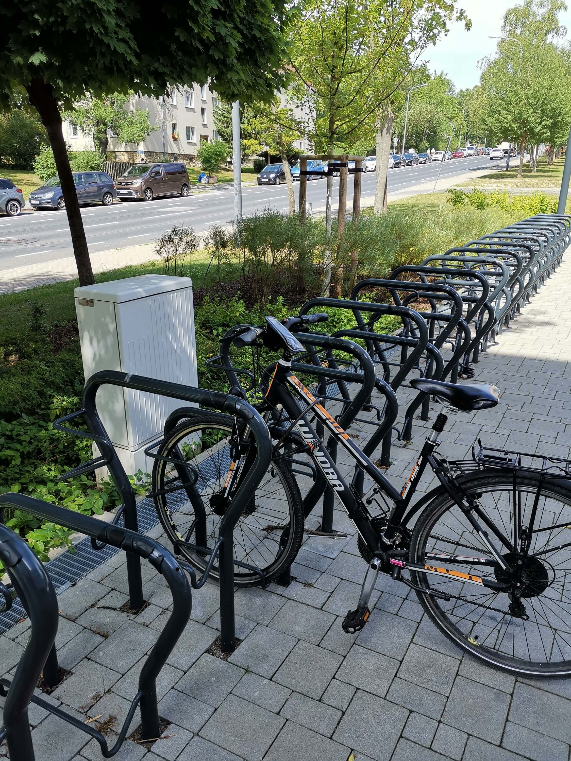 Anlehnbügel - BETA-tiefergelegt