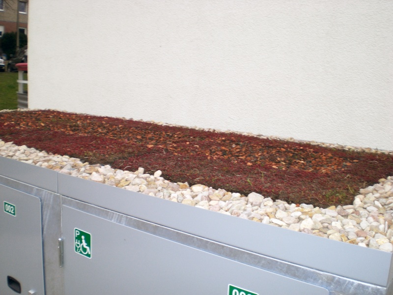 Systembox ROLLSTUHLBOX: Auf Wunsch auch mit Dachbegrünung (Sonderausführung) Boxensysteme - ROLLSTUHLBOX