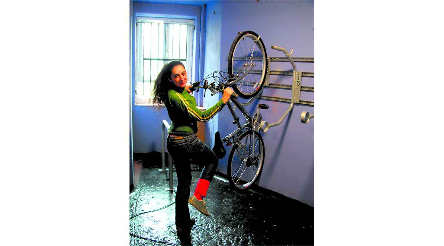 Senkrechtparker - WEGA