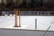 Absperrpoller - MANNHEIM